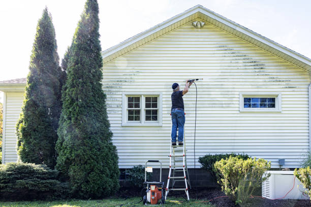 Best Roof Pressure Washing  in Mount Hermon, CA